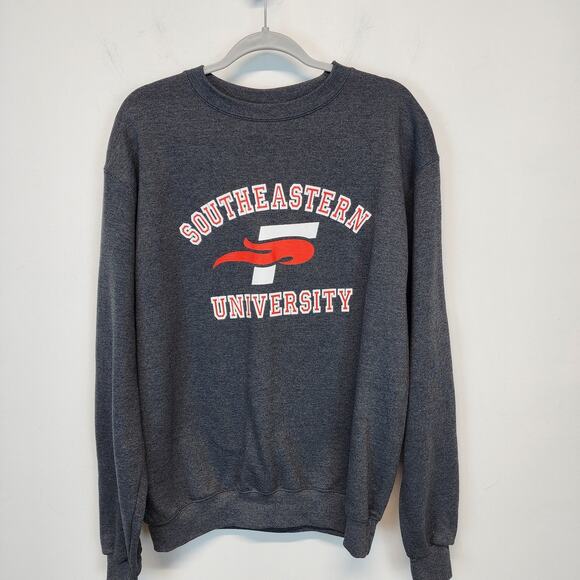 Southeastern University Crewneck Sweatshirt Size M Gray Gorp Casual Champion - Picture 1 of 10